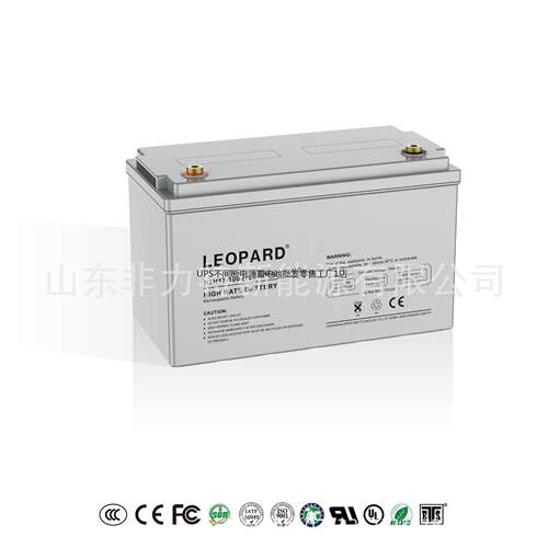 LEOPARD美洲豹蓄电池HTS1
