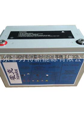 DataSafe蓄电池NPX80-12美国艾诺斯12V80AH循环使用便携式电源