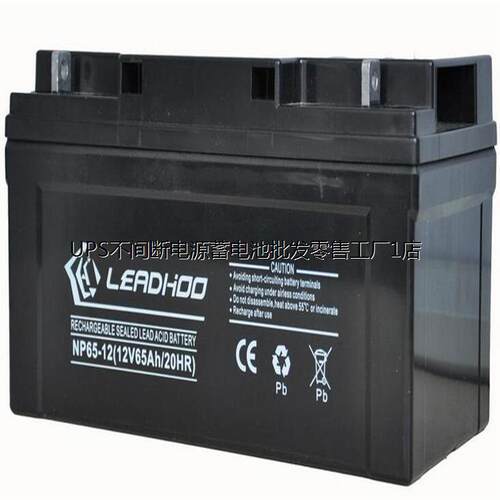 LEADHOO利虎蓄电池NP100-