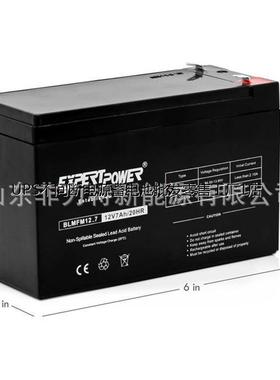 德国ExpertPower蓄电池EXP12200 全国发货 12V7Ah 不间断eps电源