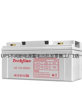 Techfine泰琪丰蓄电池UD12V-65AH 环保储能UPS/EPS直流屏配套电源