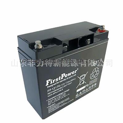 FirstPower一电蓄电池121