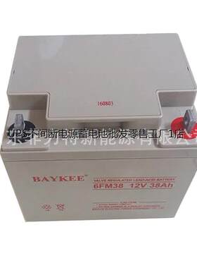 BAYEE柏克蓄电池6FM33铅