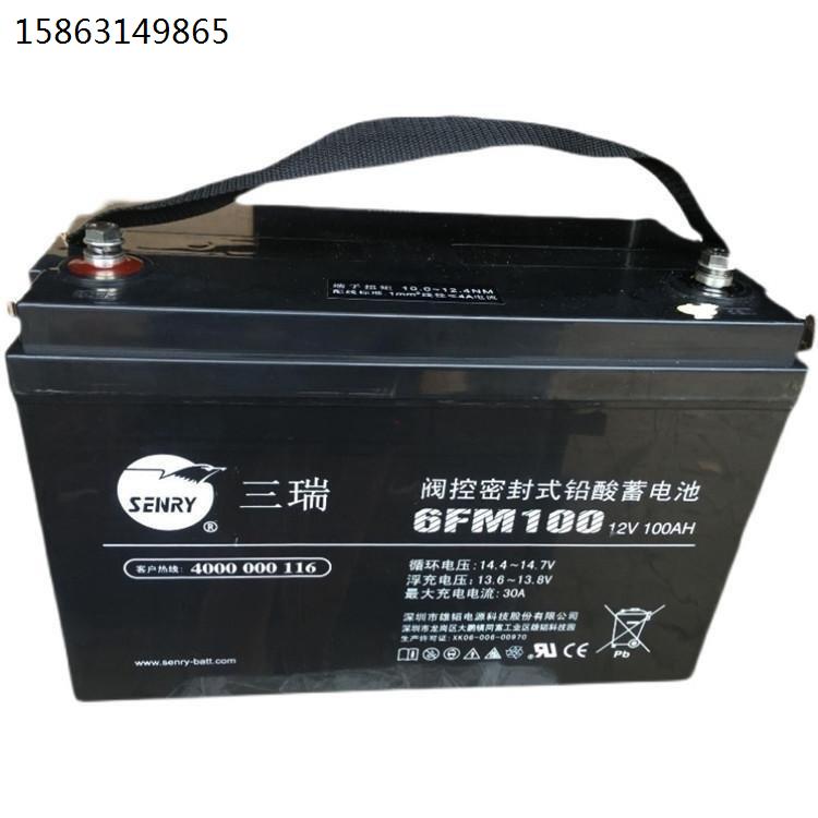 三瑞蓄电池6FM100RY-X 12V100AH机房UPS/EPS电源专用 珠宝/钻石/翡翠/黄金 定价黄金胸针 原图主图