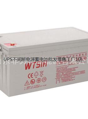 WTSIR蓄电池NPG200-12 12V200AH UPS EPS电源 直流屏配套