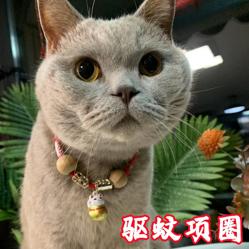 猫咪项圈防跳蚤驱蚊圈猫铃铛长命锁新年围脖狗狗颈圈宠物用品