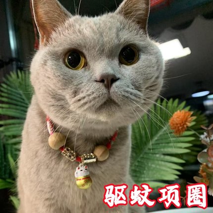 猫咪项圈防跳蚤驱蚊圈猫铃铛长命锁新年围脖狗狗颈圈宠物用品