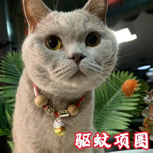 猫咪项圈防跳蚤驱蚊圈挂脖颈