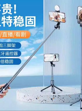 2025新款手持自拍杆拍照