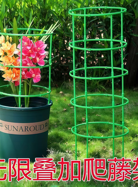 花架子室内家用支架通用型蟹爪兰花架莲花护叶架园艺盆栽支撑杆