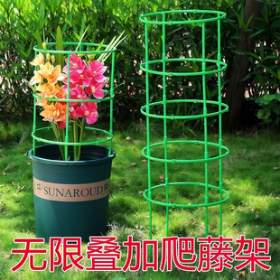 花架子室内家用支架通用型蟹爪兰花架莲花护叶架园艺盆栽支撑杆