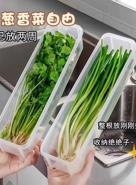 保鲜盒食品级大葱香菜芫荽整根姜蒜挂面条鸡蛋收纳整理盒冰箱专用