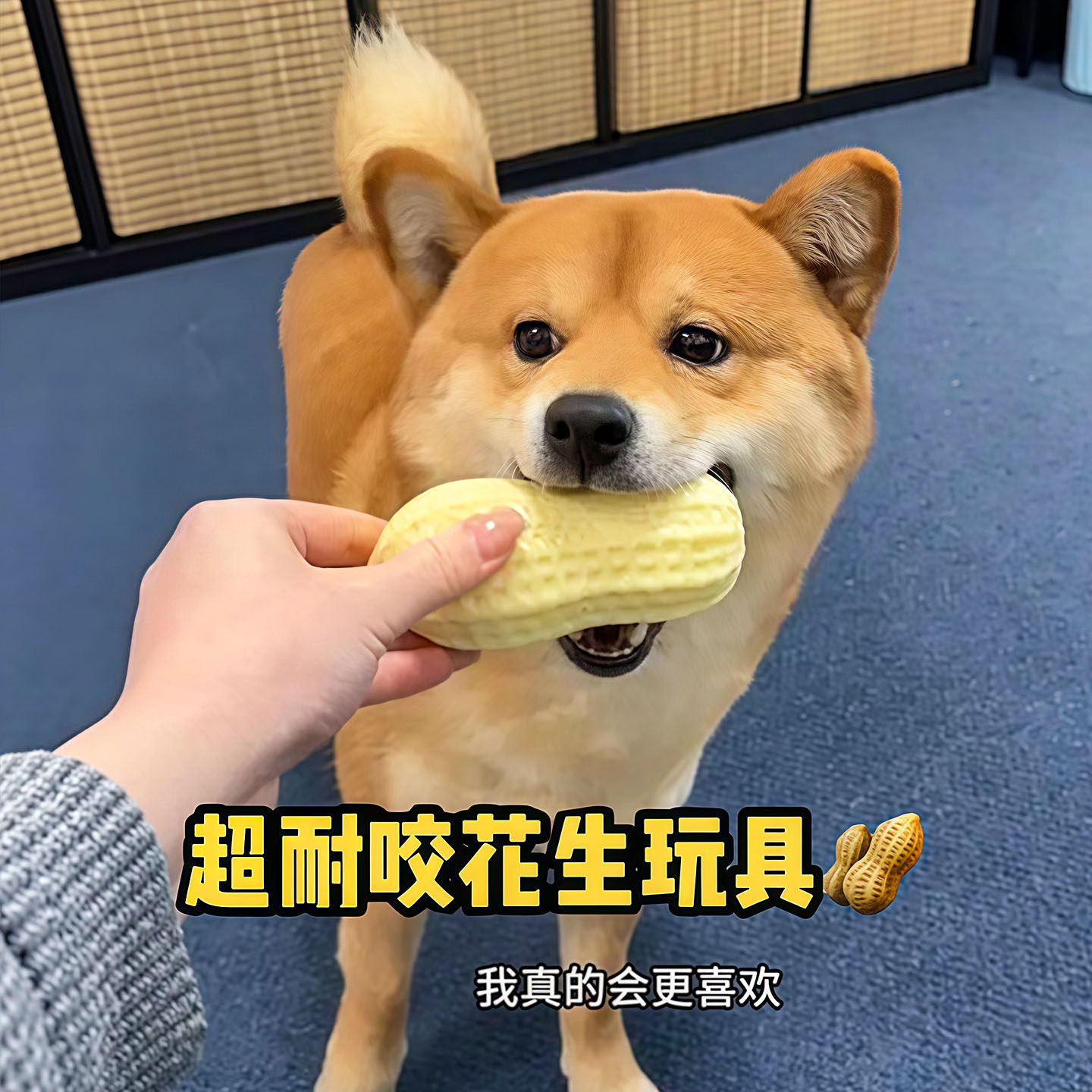 狗狗玩具耐咬自嗨解闷花生发声球柯基柴犬大小型犬宠物磨牙棒用品