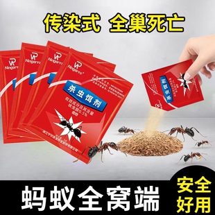 蚂蚁药蟑螂药家用全窝端非无毒厨房室内除杀消灭蚂蚁净杀虫粉饵剂
