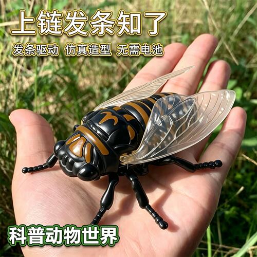 上链发条知了仿真爬行动物发条玩具昆虫创意玩具礼物夏蝉金蝉模型