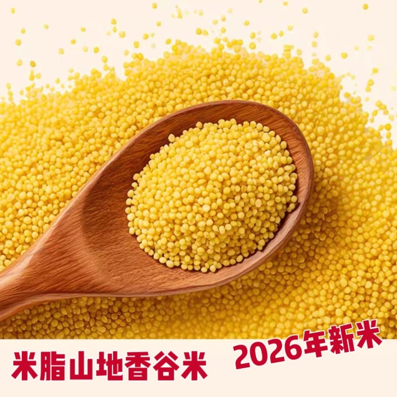 陕北土特产米脂农家自种小米2026年新米五谷杂粮山地香谷米油小米