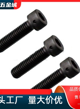 CBLH6/M8/M10/M12 带止动孔内六角螺栓圆柱头 头通孔螺丝