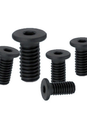 CBSS2-3/4/5/6/8/10/12极低头内六角螺栓不锈钢超短头螺丝