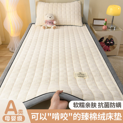 新款保暖牛奶绒床垫学生宿舍专用