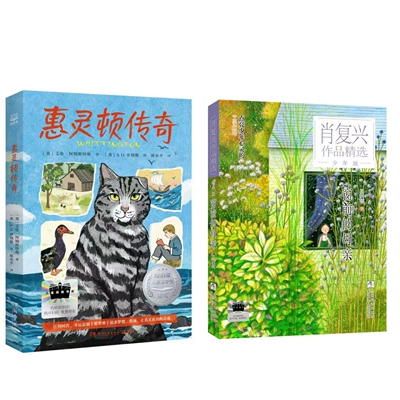 惠灵顿传奇 窗前的母亲少年版 百班千人71期五年级5年级名师推荐课外书必读正版授权儿童文学灯塔 （按需加入购物车自选）