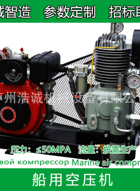 CW-10/10F皮带船用空压机维修保养配件