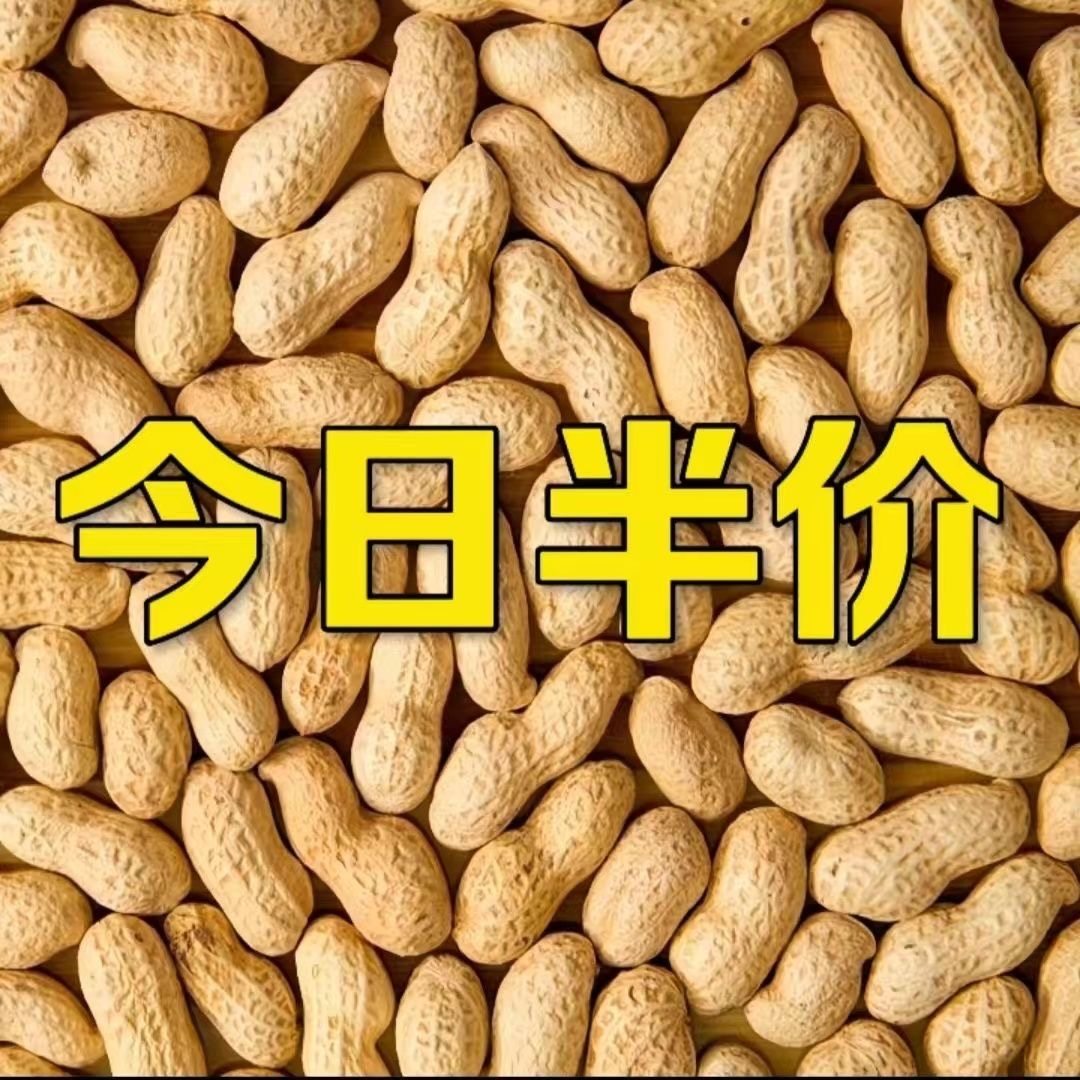 农家铁锅炒花生新花生带壳现炒现发新货柴火熟花生原味坚果零食,零食/坚果/特产,花生,淘宝优惠券,粉丝福利购,淘宝优惠卷