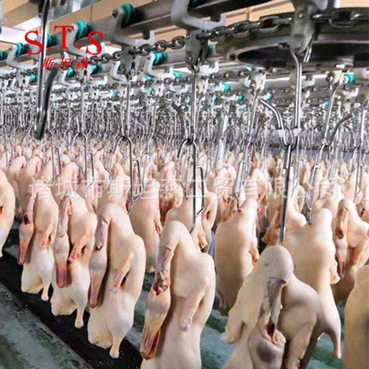 北京鸭胚生产线设备 四川鸭屠宰流水线 鸭屠宰脱毛机H,五金/工具,其他机械五金,淘宝优惠券,粉丝福利购,淘宝优惠卷