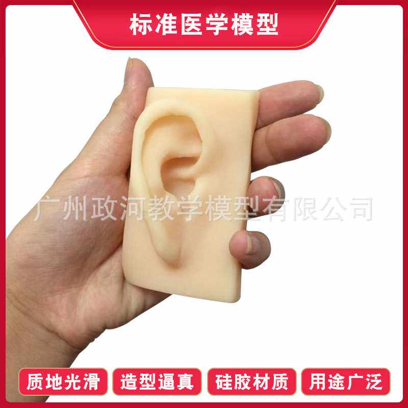 右耳1比1成人仿真耳朵 人体耳朵模型 耳膜型 硅胶针灸耳朵