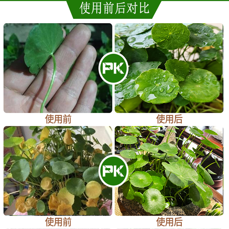 铜钱草专用肥金钱草肥料铜钱草营养液水培铜钱草肥料有机肥盆栽竹