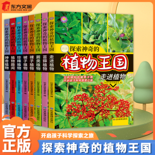儿童 正版 植物王国 小学生课外书阅读书 全8册 少年儿童科普大全彩图版 探索神奇 12岁植物书籍植物家族