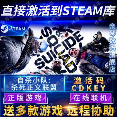 Steam正版自杀小队消灭正义联盟激活码CDKEY在线联机国区PC游戏