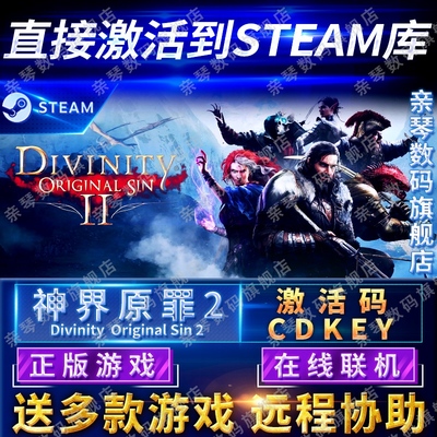 Steam正版神界原罪2激活码CDKEY在线联机国区全球区Divinity Original Sin 2电脑PC中文游戏