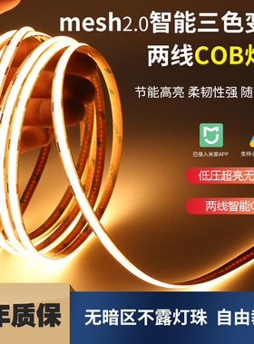 已接入米家智能三色cob灯带无极调光线性变光双眼皮吊顶线形灯条