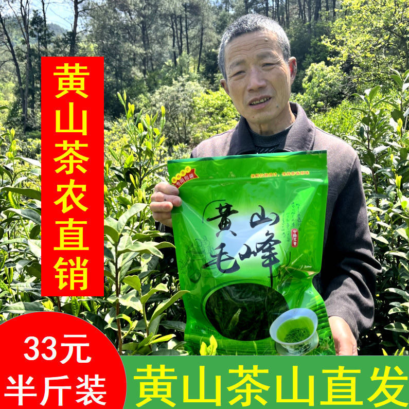 2023绿茶黄山毛峰新茶高山浓香型毛峰绿茶明前特级黄山毛尖春茶叶属于什么档次？