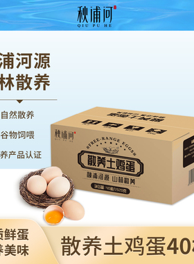 秋浦河散养土鸡蛋40枚 净重1920g 山林散养草鸡蛋 柴鸡蛋 家庭装