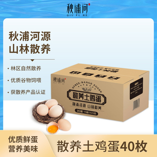 家庭装 秋浦河散养土鸡蛋40枚 柴鸡蛋 山林散养草鸡蛋 净重1920g