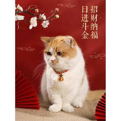 Pet dog collar cat collar bell necklace accessories项圈猫