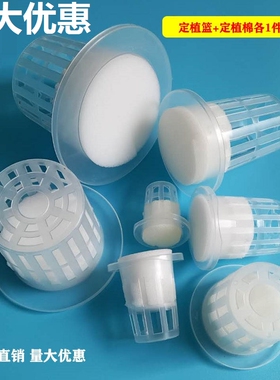 水培器皿定植篮园艺无土栽培蔬菜植物固根器草莓玻璃花瓶种花篮