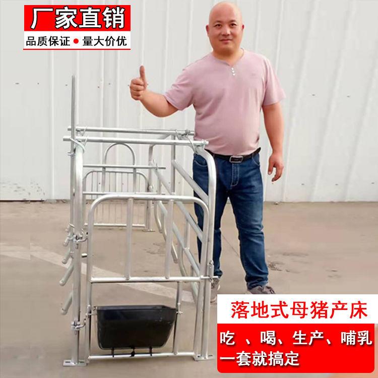 直销新款母猪产床落地式产床仔猪娩猪床分定位栏保育床养场殖用设