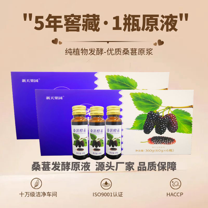 五年发酵桑葚原浆桑葚发酵原液