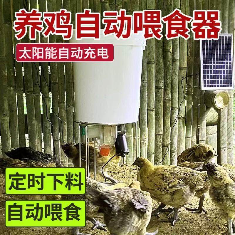 自动喂食器鸡鸭鹅鸽子家禽全自动投料机喂鸡神器智能远程手机定时