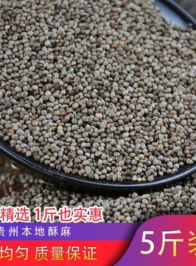 2025年新货贵州酥麻籽油性苏麻引子酥麻子引子苏麻紫苏籽紫苏引子