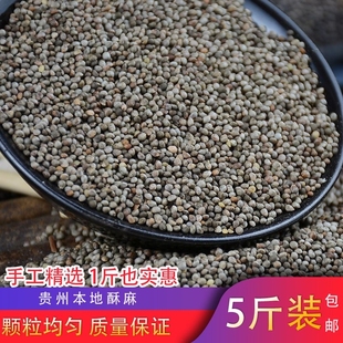 2025年新货贵州酥麻籽油性苏麻引子酥麻子引子苏麻紫苏籽紫苏引子