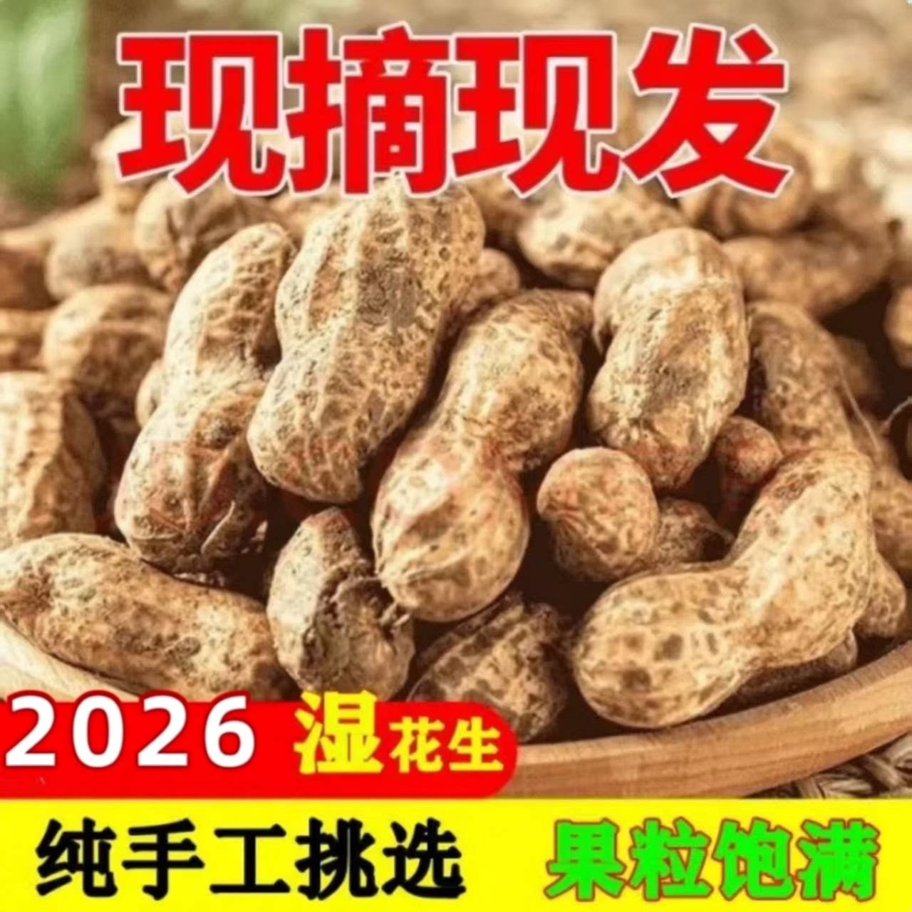 2026年新鲜现挖现发湿花生现发带壳泥湿花生批发可水煮花生带壳