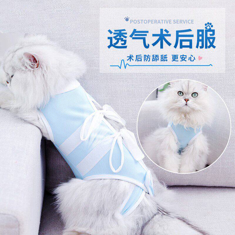 猫咪手术服母猫绝育衣服包肚衣断奶公猫防舔术后猫猫绝育服防护服