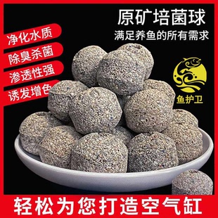 原矿球龙鱼海缸过滤材料过滤桶生化中空球陶瓷环鱼缸石英细菌屋