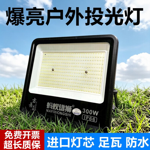 蚂蚁雄狮300W户外防水投光灯
