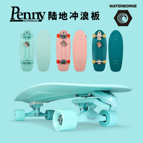 澳大利亚PENNY陆地冲浪板