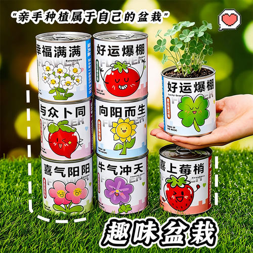 情绪稳定小盆栽种植罐头