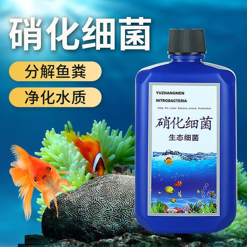 硝化细菌鱼缸专用养鱼活菌净水剂